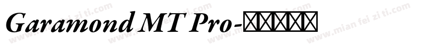 Garamond MT Pro字体转换